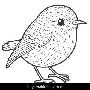 Kuş boyama sayfası – keyifli zaman, renkli çizimler