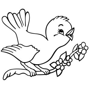 Kuş boyama sayfası,  coloring page, Daldaki Kuş, 