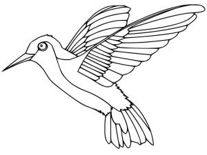 Kuş boyama sayfası,  coloring page, , 