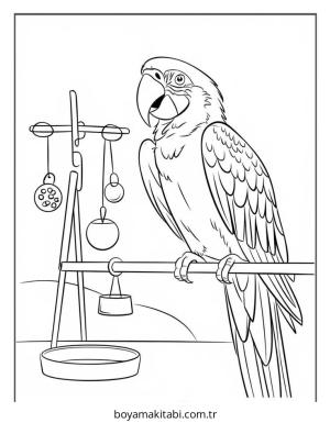 Kuş boyama sayfası – yaratıcılığı geliştirir, keyifli zaman