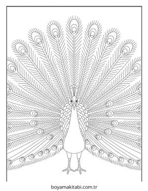 Kuş boyama sayfası – eğitici aktivite, yaratıcılık