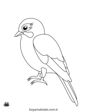Kuş boyama sayfası – sevimli karakter, sanatsal çalışma