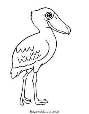 Kuş boyama sayfası – PDF indir, sevimli karakter