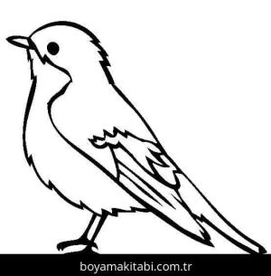 Kuş boyama sayfası – boyama etkinliği, çocuk aktivitesi