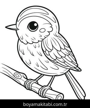 Kuş boyama sayfası – yaratıcılık, eğlenceli etkinlik