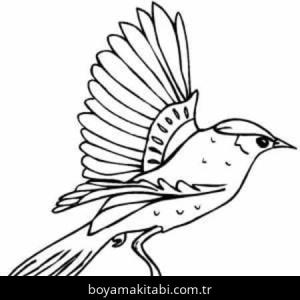 Kuş boyama sayfası – yaratıcılığı geliştirir, keyifli zaman