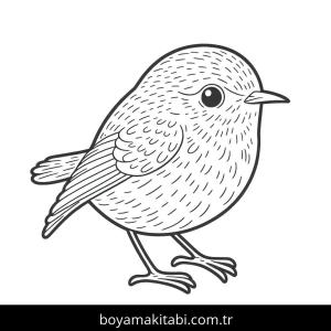 Kuş boyama sayfası – ücretsiz yazdır, boyama etkinliği