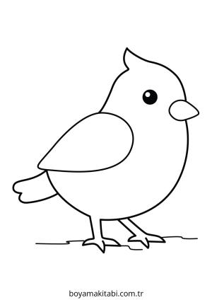 Kuş boyama sayfası – eğitici aktivite, yaratıcılık
