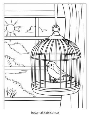 Kuş Boyama