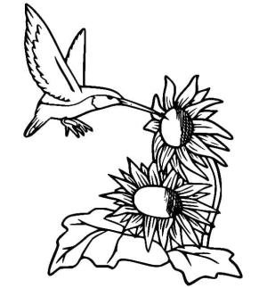 Kuş boyama sayfası,  coloring page, , 