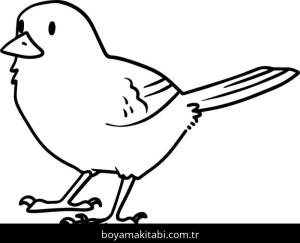Kuş boyama sayfası – el becerilerini geliştirir, boyama çalışması