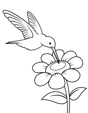 Kuş boyama sayfası,  coloring page, , 