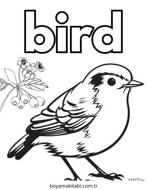 Kuş boyama sayfası – kolay boyama, eğitici aktivite