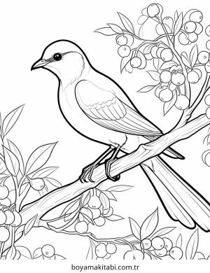 Kuş boyama sayfası – çocuklar için, çizgi film temalı