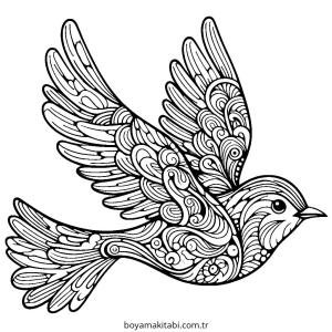 Kuş boyama sayfası – boyama etkinliği, çocuk aktivitesi