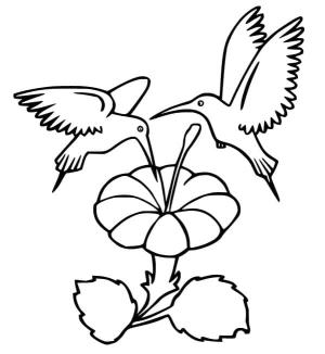 Kuş boyama sayfası,  coloring page, , 