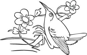 Kuş boyama sayfası,  coloring page, , 