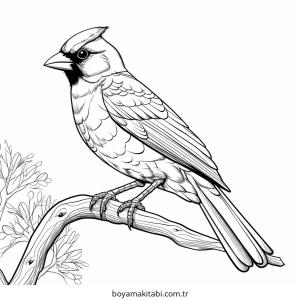 Kuş boyama sayfası – boyama çalışması, yaratıcılığı geliştirir