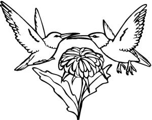 Kuş boyama sayfası,  coloring page, , 