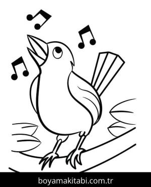 Kuş boyama sayfası – eğitici aktivite, yaratıcılık
