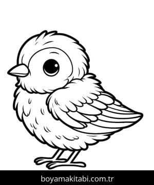 Kuş boyama sayfası – boyama etkinliği, çocuk aktivitesi