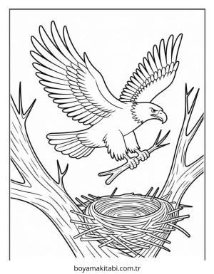 Kuş boyama sayfası – sanatsal çalışma, çocuklar için