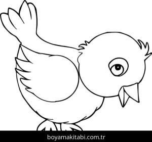 Kuş boyama sayfası – renkli çizimler, okul öncesi