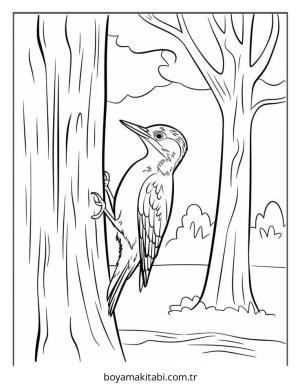Kuş boyama sayfası – boyama etkinliği, çocuk aktivitesi