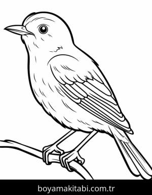 Kuş boyama sayfası – PDF indir, sevimli karakter