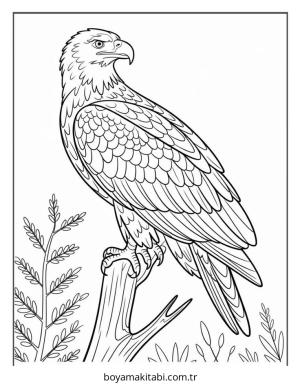 Kuş boyama sayfası – basit çizim, kolay boyama