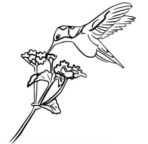 Kuş boyama sayfası,  coloring page, , 