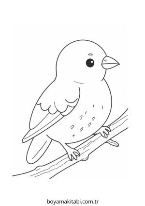 Kuş boyama sayfası – çocuk aktivitesi, PDF indir