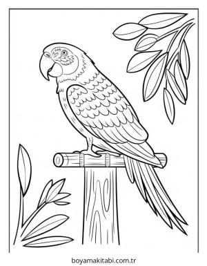 Kuş boyama sayfası – yaratıcılığı geliştirir, keyifli zaman