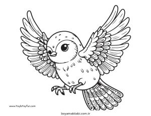 Kuş boyama sayfası – keyifli zaman, renkli çizimler