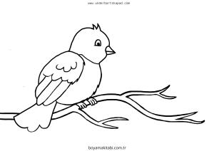 Kuş boyama sayfası – evde etkinlik, ücretsiz yazdır