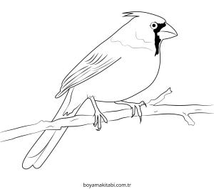 Kuş boyama sayfası – yaratıcılığı geliştirir, keyifli zaman