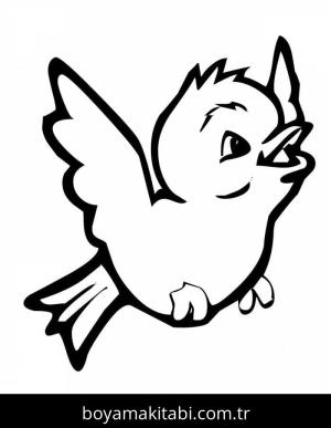 Kuş boyama sayfası – kolay boyama, eğitici aktivite