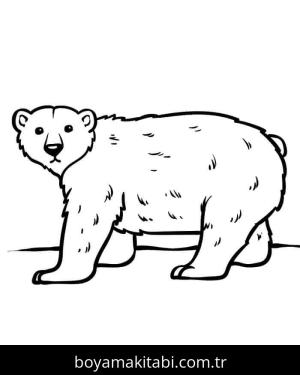 Kutup ayısı boyama sayfası – keyifli zaman, renkli çizimler