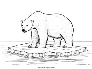 Kutup ayısı Boyama