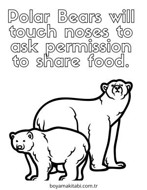 Kutup ayısı Boyama