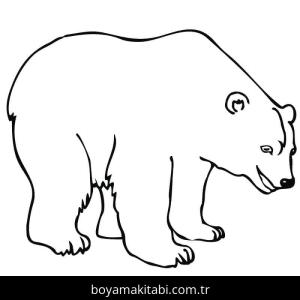 Kutup ayısı boyama sayfası – sevimli karakter, sanatsal çalışma