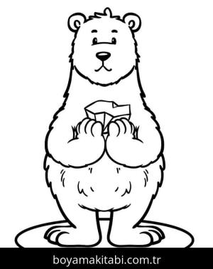 Kutup ayısı boyama sayfası – eğitici aktivite, yaratıcılık