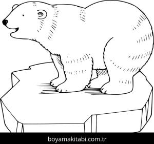 Kutup ayısı boyama sayfası – eğitici aktivite, yaratıcılık