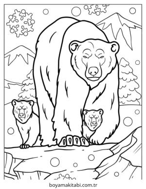 Kutup ayısı Boyama