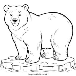 Kutup ayısı Boyama