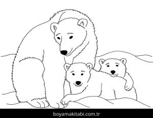 Kutup ayısı boyama sayfası – kolay boyama, eğitici aktivite