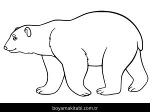 Kutup ayısı boyama sayfası – sanatsal çalışma, çocuklar için