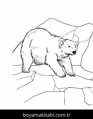 Kutup ayısı boyama sayfası – boyama etkinliği, çocuk aktivitesi