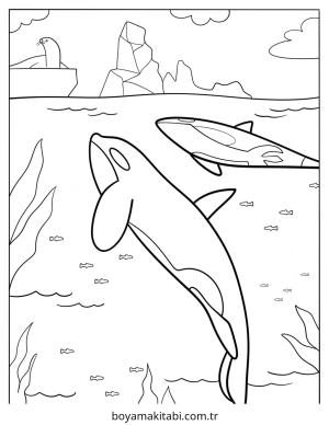 Kutup Hayvanları boyama sayfası – yaratıcılığı geliştirir, keyifli zaman