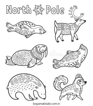 Kutup Hayvanları boyama sayfası – boyama çalışması, yaratıcılığı geliştirir